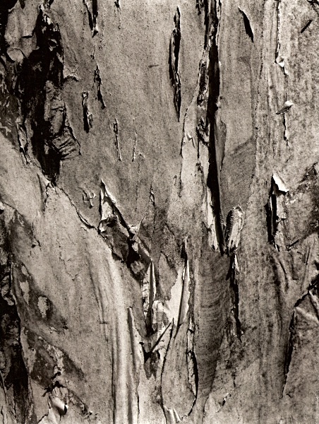 WALL, Nottingham 1997 - ABSTRACTIONS