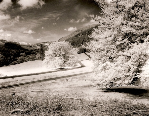 HAFOD FIELDS in Infra-red, Ceredigion 1994 - THE WELSH LANDSCAPE