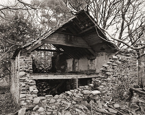 TRAFLE UCHAF, Llangeitho, Ceredigion 2015 - CEREDIGION FARMHOUSES