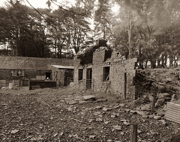 Bryn-Meinog, Llanddewi-Brefi, Ceredigion 2012 - CEREDIGION FARMHOUSES