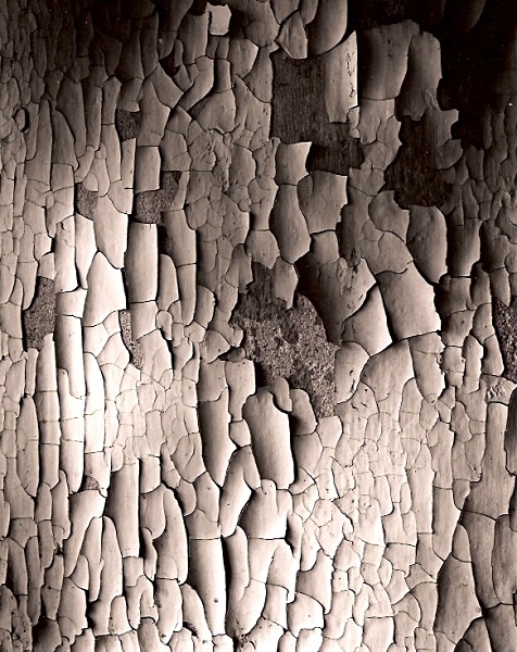 WALL AT DOLGOR'S FARM, Devil's Bridge, Ceredigion 2006 - ABSTRACTIONS