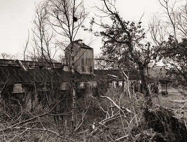 PONT LLANIO MILK FACTORY, Llanio, Ceredigion 2015 - OTHER WELSH RUINS