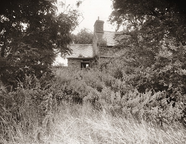 TY NEWYDD, Llanddeiniol, Ceredigion 2014 - CEREDIGION FARMHOUSES