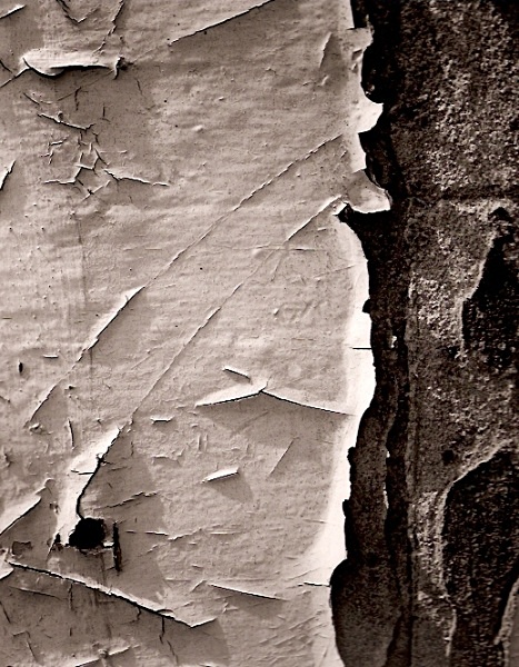 WALL, Nottingham 1996 - ABSTRACTIONS