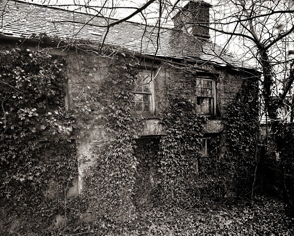 LLAIN, Ceredigion 2016 - CEREDIGION FARMHOUSES