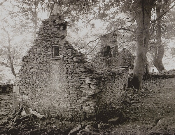 WEN-ALLT-UCHAF, Llanfair Clydogau, Ceredigion 2012 - CEREDIGION FARMHOUSES