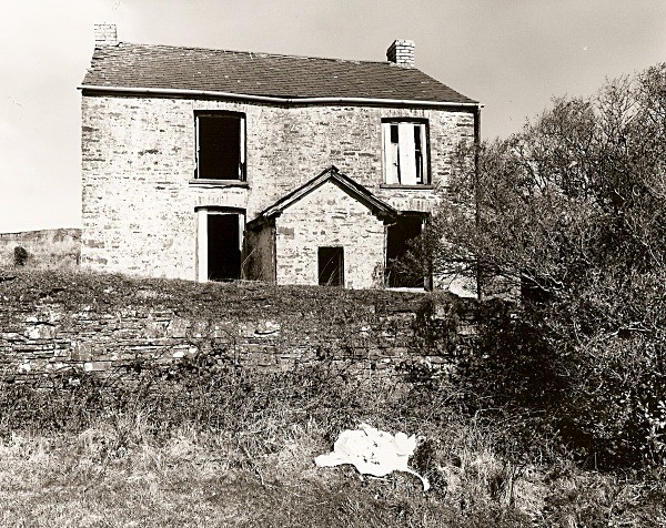 PENGLAIS FACH,Ceredigion 2010 - CEREDIGION FARMHOUSES