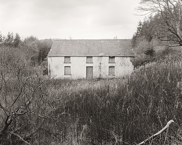 DOLWEN, Devil's Bridge, Ceredigion 2011 - CEREDIGION FARMHOUSES