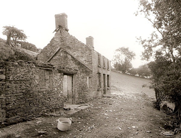 TYNGRAIG, Devil's Bridge, Ceredigion 2010 - CEREDIGION FARMHOUSES
