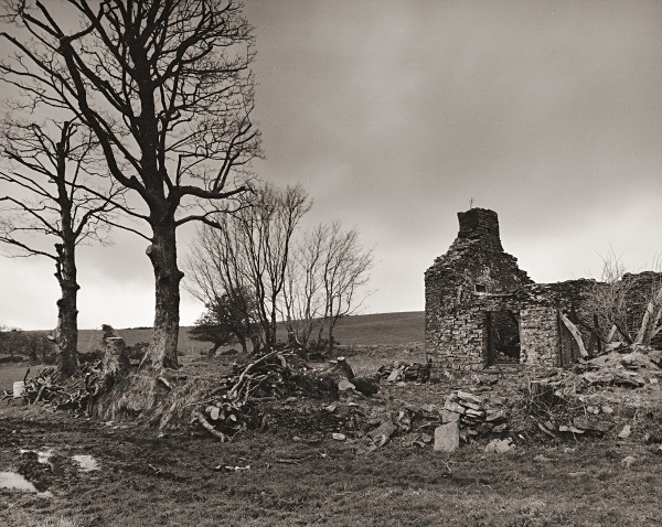 MAES MYNACH, Cilcennin, Ceredigion 2015 - CEREDIGION FARMHOUSES