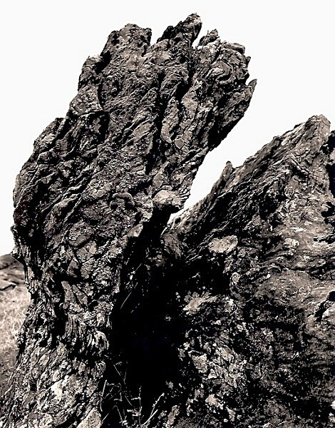 ROCK AT YSBYTY CYNFYN, Ceredigion 2009 - THE WELSH LANDSCAPE