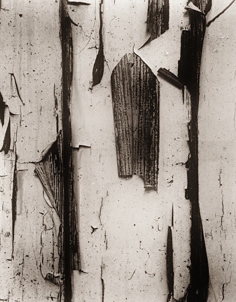 CUB HUTS, Devil's Bridge, Ceredigion 2015 - ABSTRACTIONS