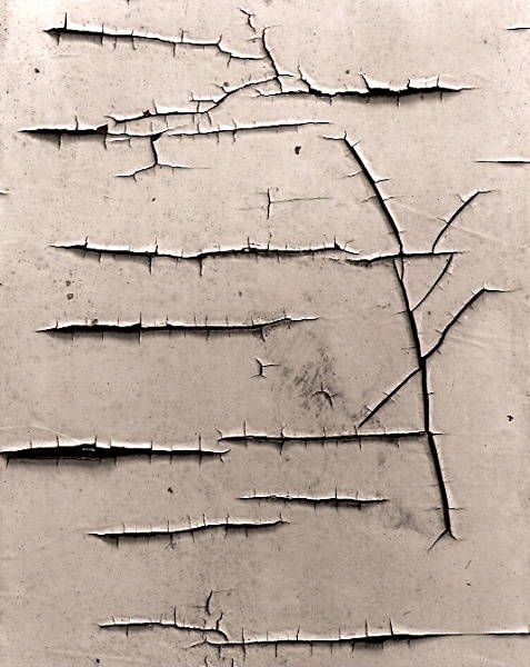 PEELING PAINT, Empty Cottage, Lampeter 2000 - ABSTRACTIONS
