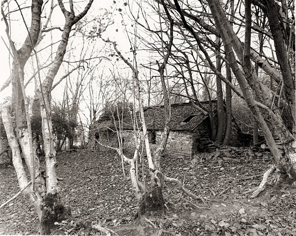 TROEDYFEDWEN, Tre-Taliesin, Ceredigion 2012 - CEREDIGION FARMHOUSES