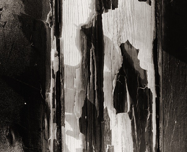 ABSTRACTION, Brighton 2007 - ABSTRACTIONS