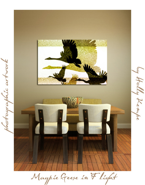 Magpie Geese in Flight - Artwork Displayed in a Room