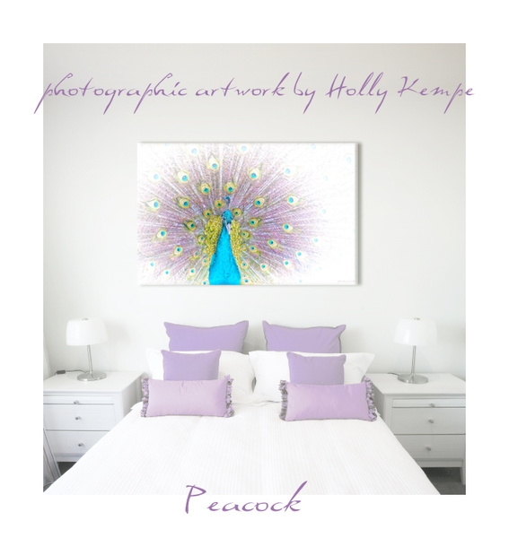 Peacock - Artwork Displayed in a Room