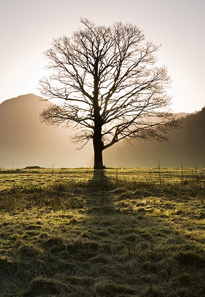 Sharing the light - Lake District - Inland and Coastal England