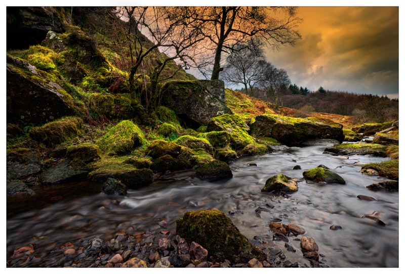 The Hobbit's playground - Ayrshire Gallery