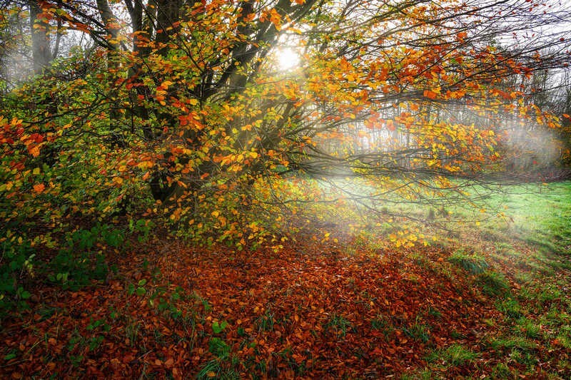 Burning-through - Some Favourite recent Images