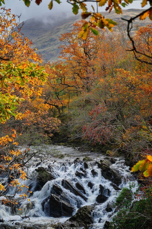 Image-3 - Some Favourite recent Images