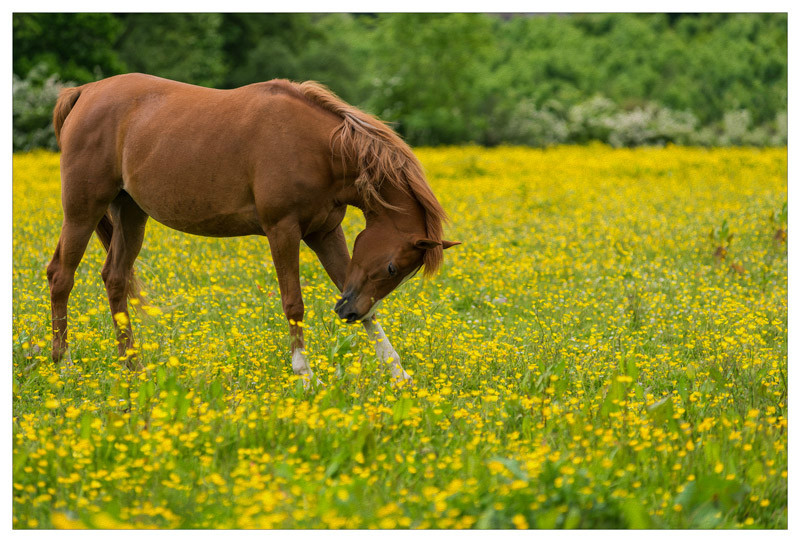 Isn't life wonderful - Ayrshire Gallery