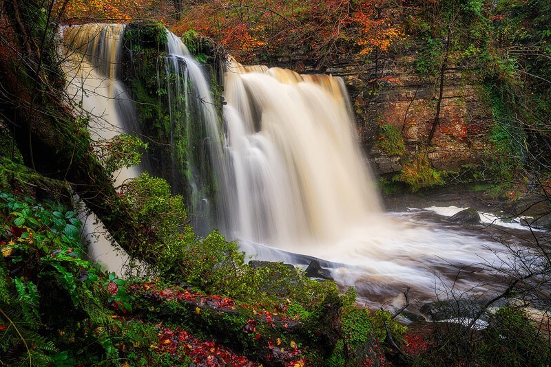 After the Rain - Some Favourite recent Images
