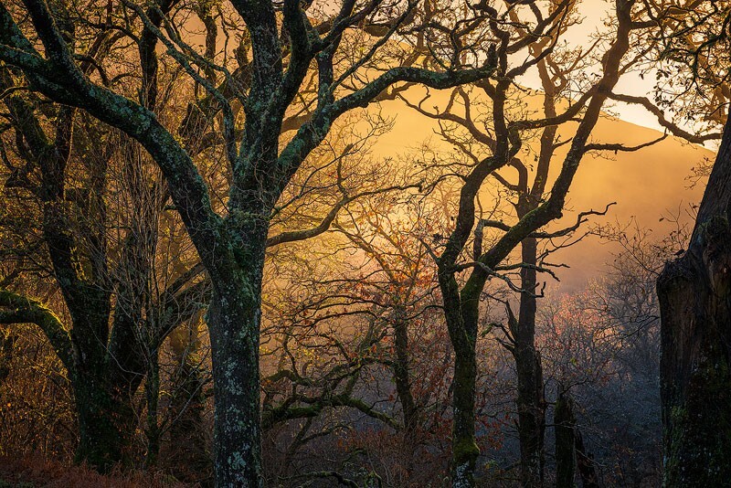 Misty-Sunset - Some Favourite recent Images