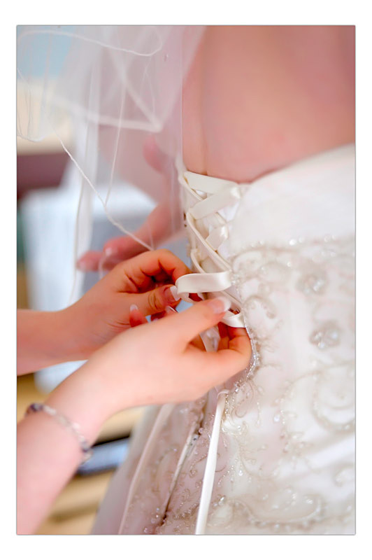  - Portraits, Pets and Events