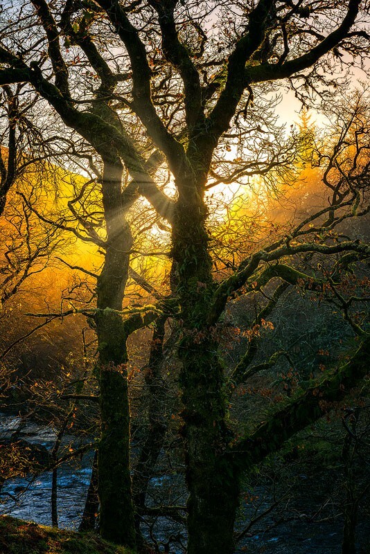 Sunset-on-the-river - Some Favourite recent Images