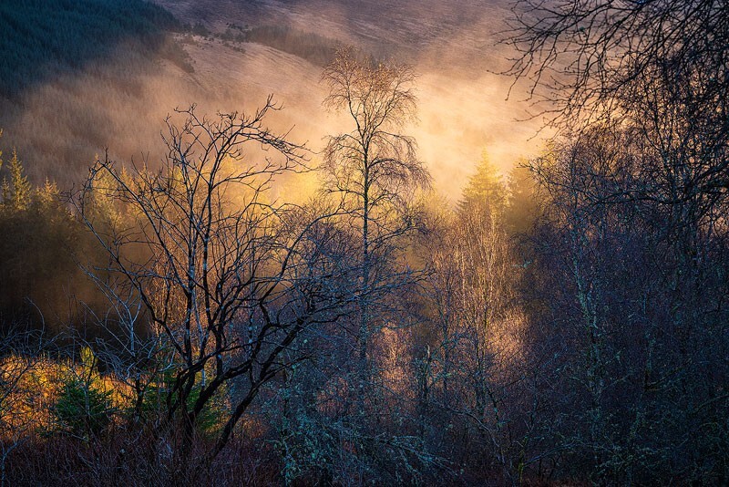 Incoming-Mist - Some Favourite recent Images