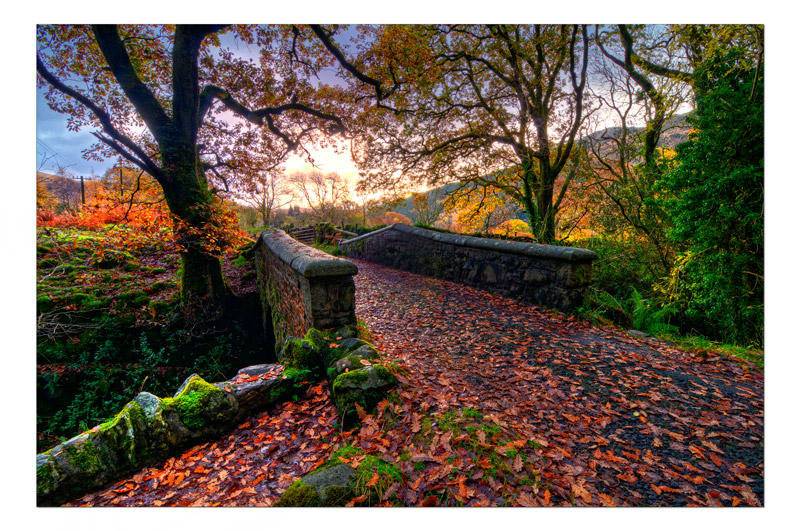 Bridge over the Buchan burn - The Light Captured
