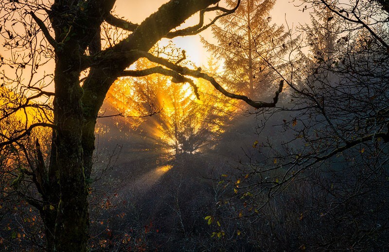 Sunset-Fire - Some Favourite recent Images