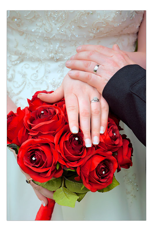  - Portraits, Pets and Events