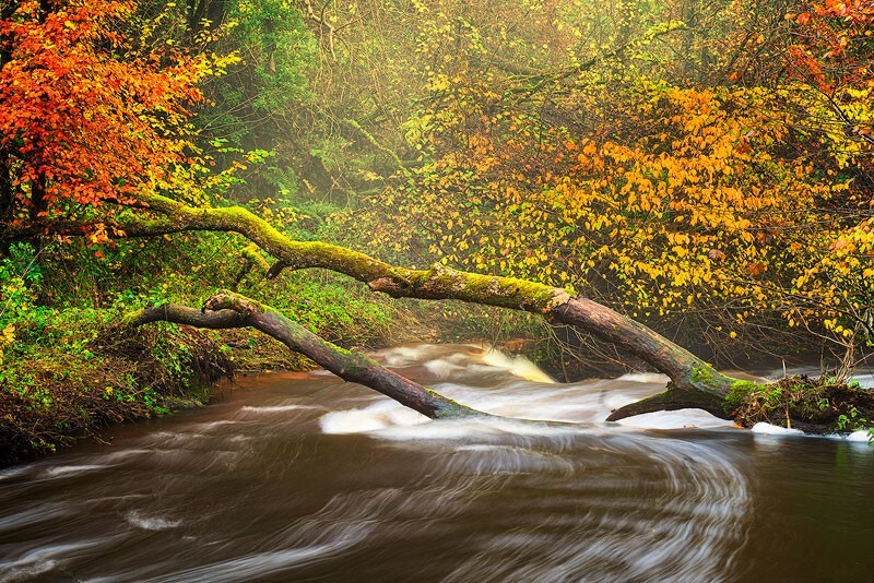 LG-7 - Some Favourite recent Images