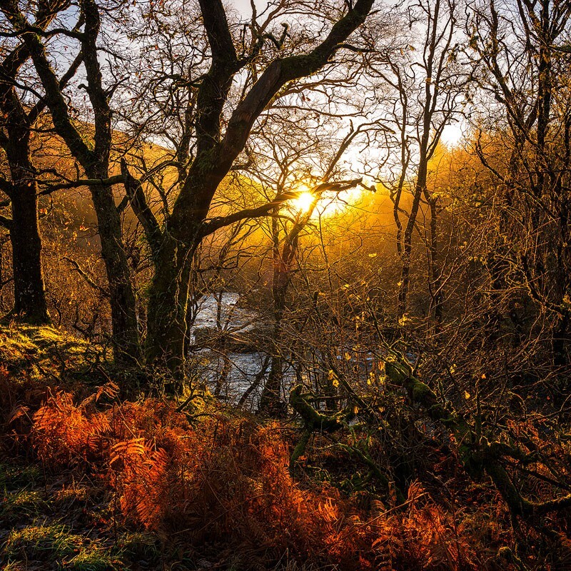 Light-on-the-river-Orchy - Some Favourite recent Images