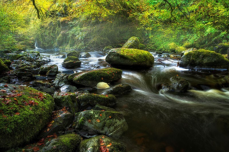 The-Autumn-River - The Light Captured
