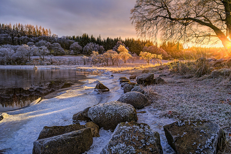 Iced Beauty - The Light Captured