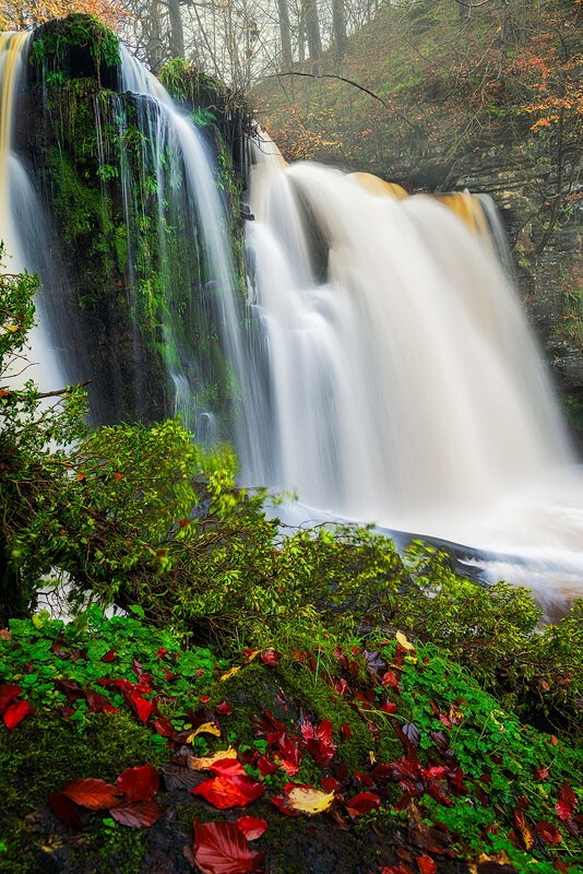 LG-3 - Some Favourite recent Images