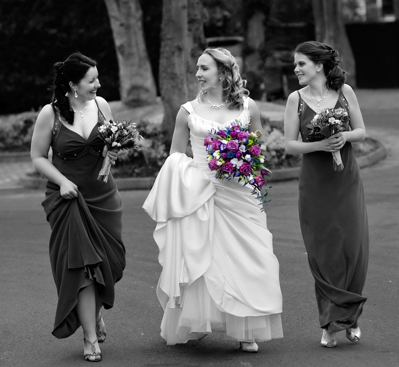 The bride and her Bridesmaids - Portraits, Pets and Events