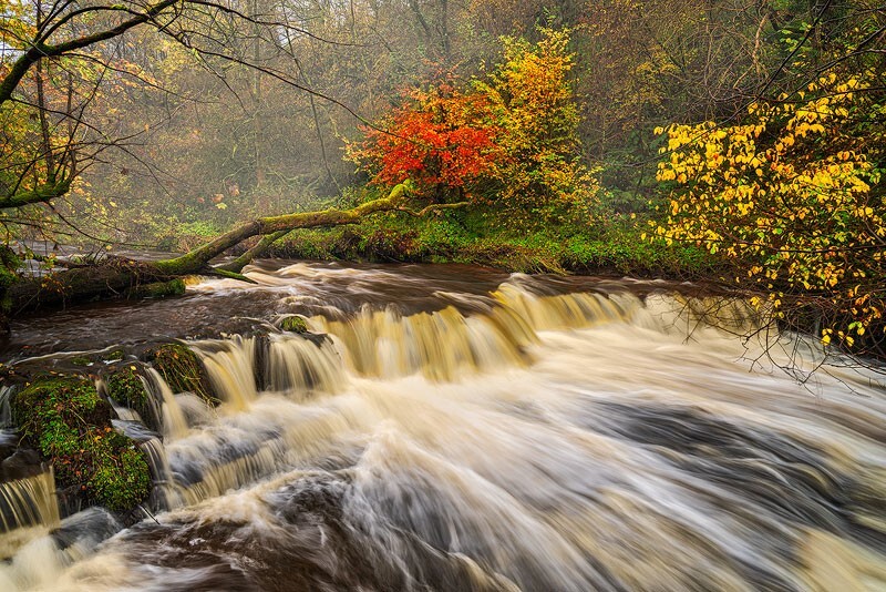 LG-5 - Some Favourite recent Images