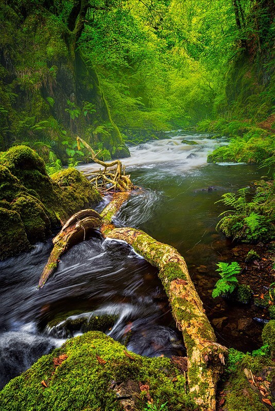 River Capture - A few of my latest Photos
