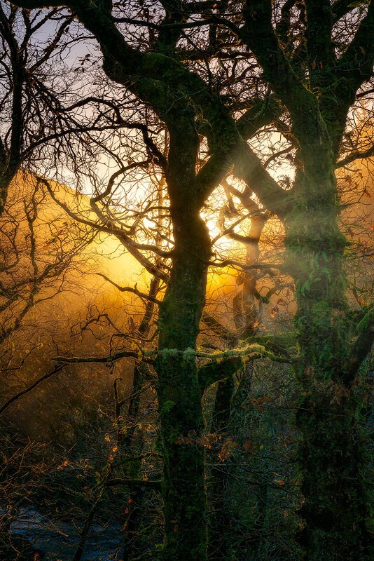 Etherial-Sunset - Some Favourite recent Images