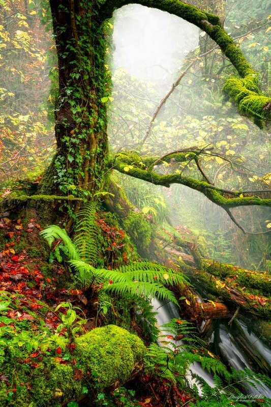 Autumn-Atmosphere - Some Favourite recent Images