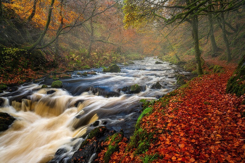 A little Rain - Ayrshire Gallery