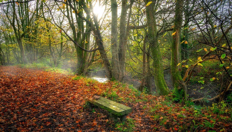 The-Autumn-Seat - Some Favourite recent Images