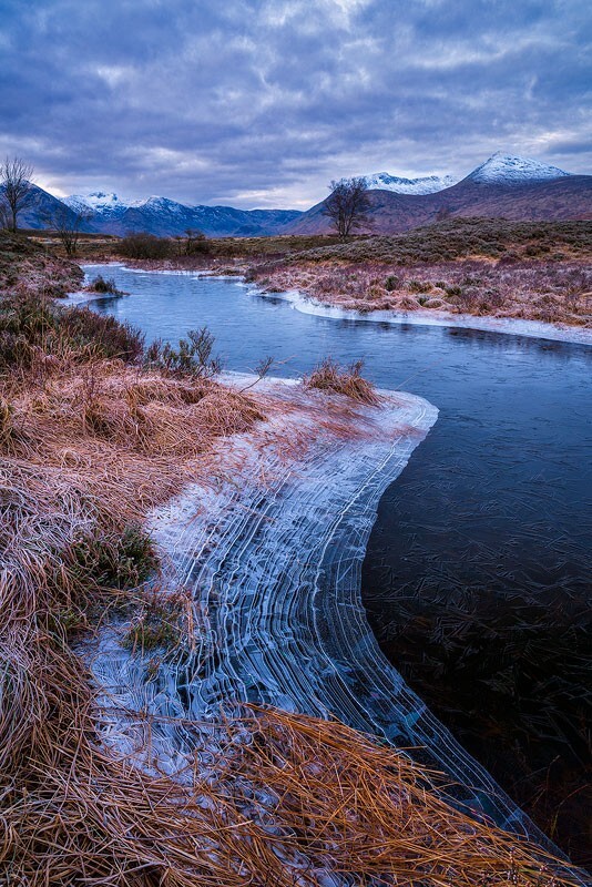 Image-1 - Some Favourite recent Images