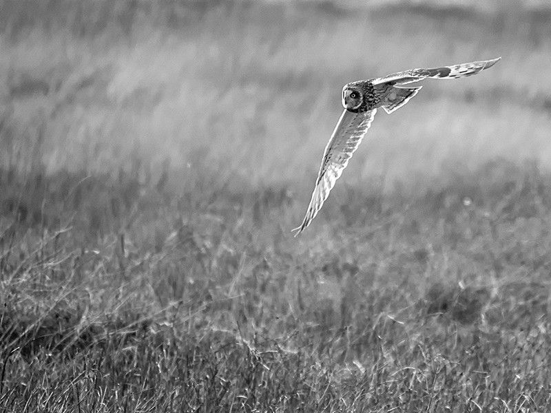  - Coastal & Wetland