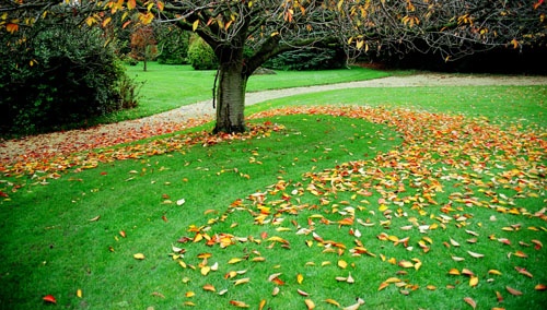  - UK images