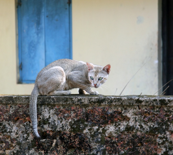  - Kerala